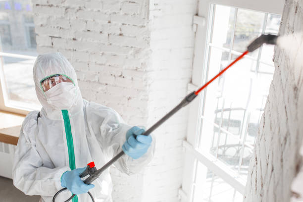 Best Biohazard Mold Removal  in Deadwood, SD